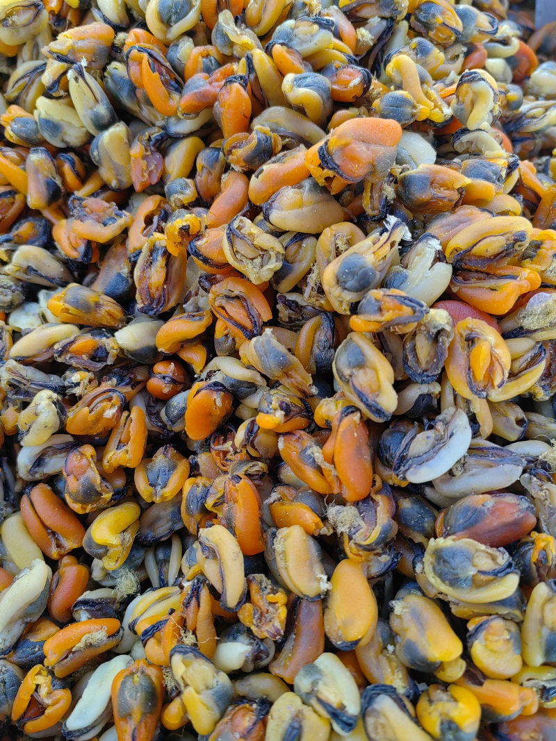 海虹干，淡菜干，干度好，个头大，做菜煲汤皆可