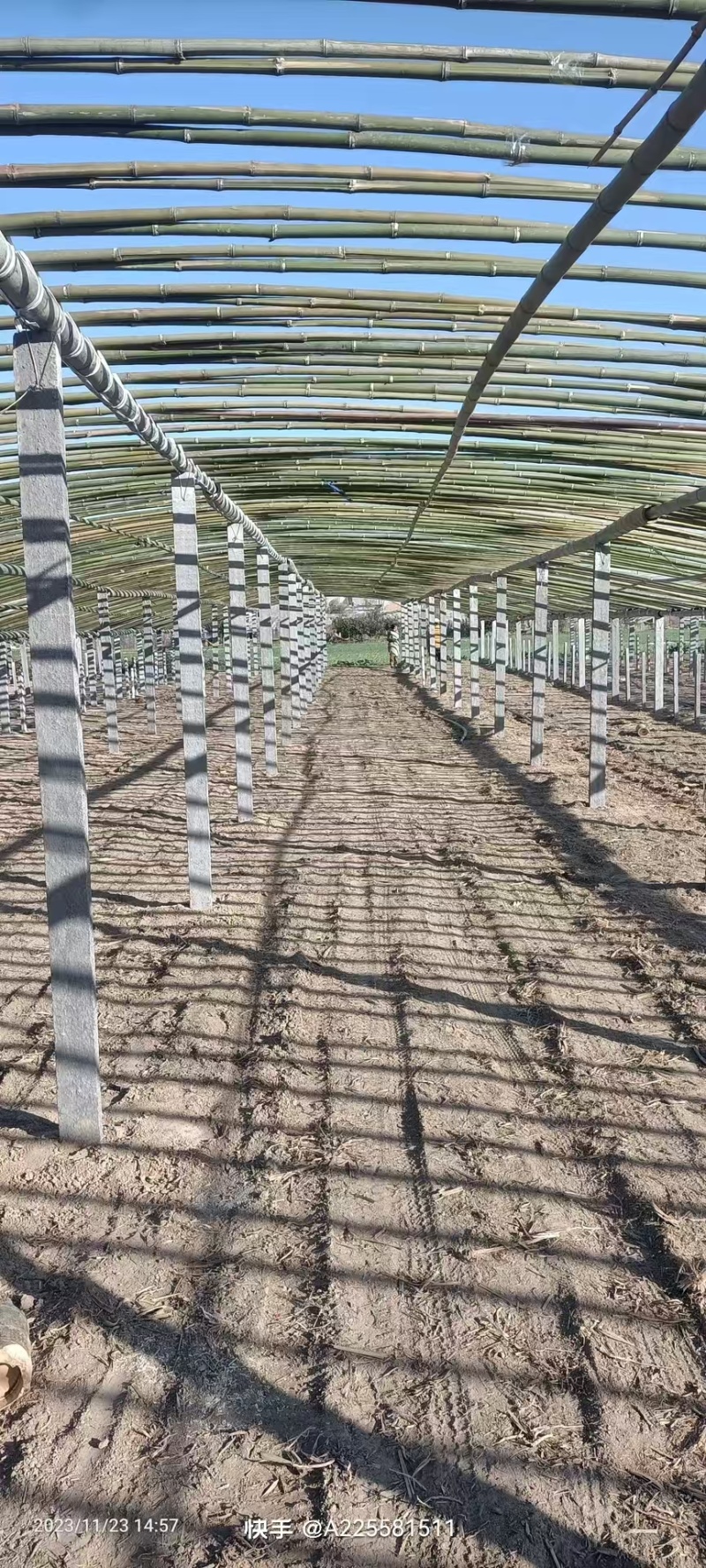 水泥立柱，种养殖立柱量大从优质量保证规格齐全