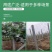建筑立柱厂家直供质量保证规格齐全常年供应电联
