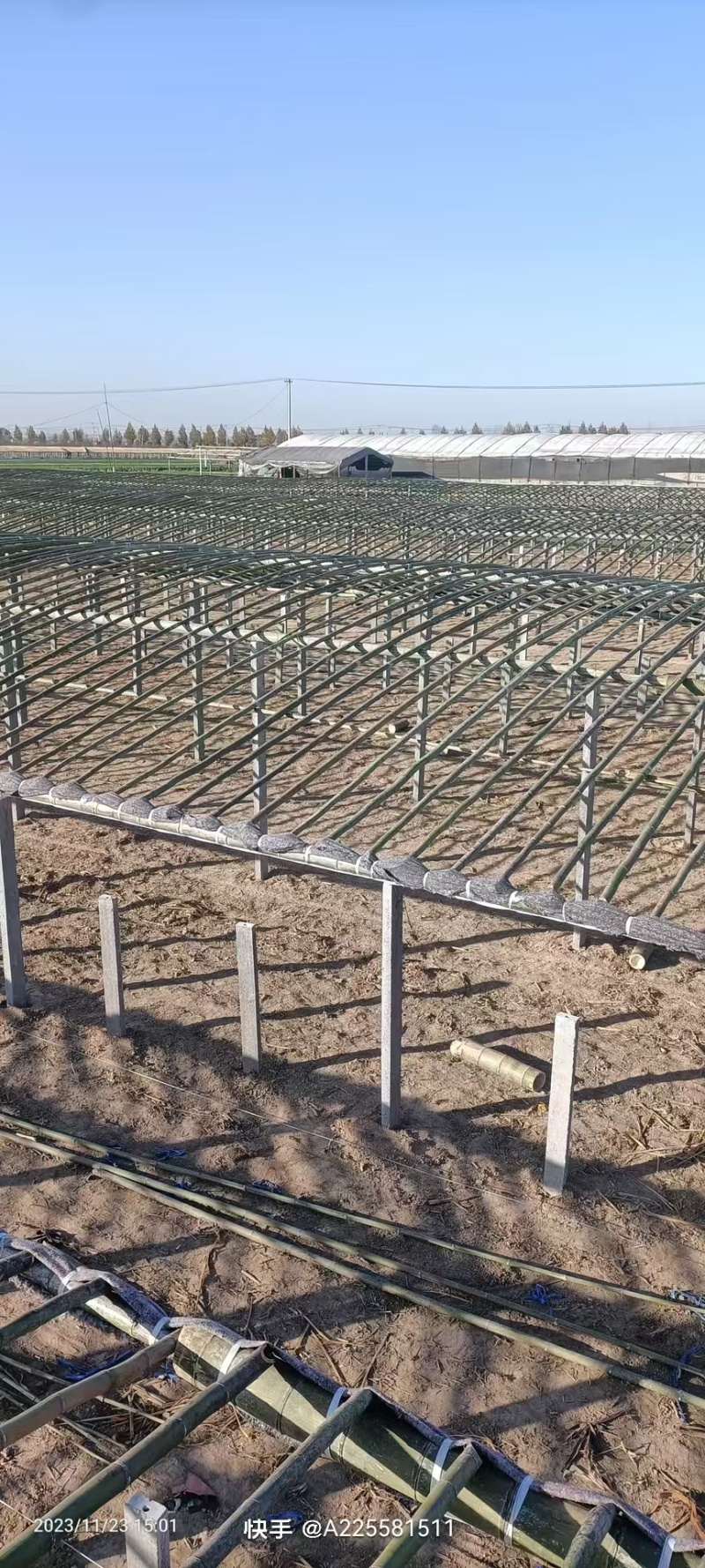 建筑立柱厂家直供质量保证规格齐全常年供应电联