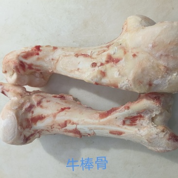 牛棒骨