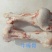 牛棒骨
