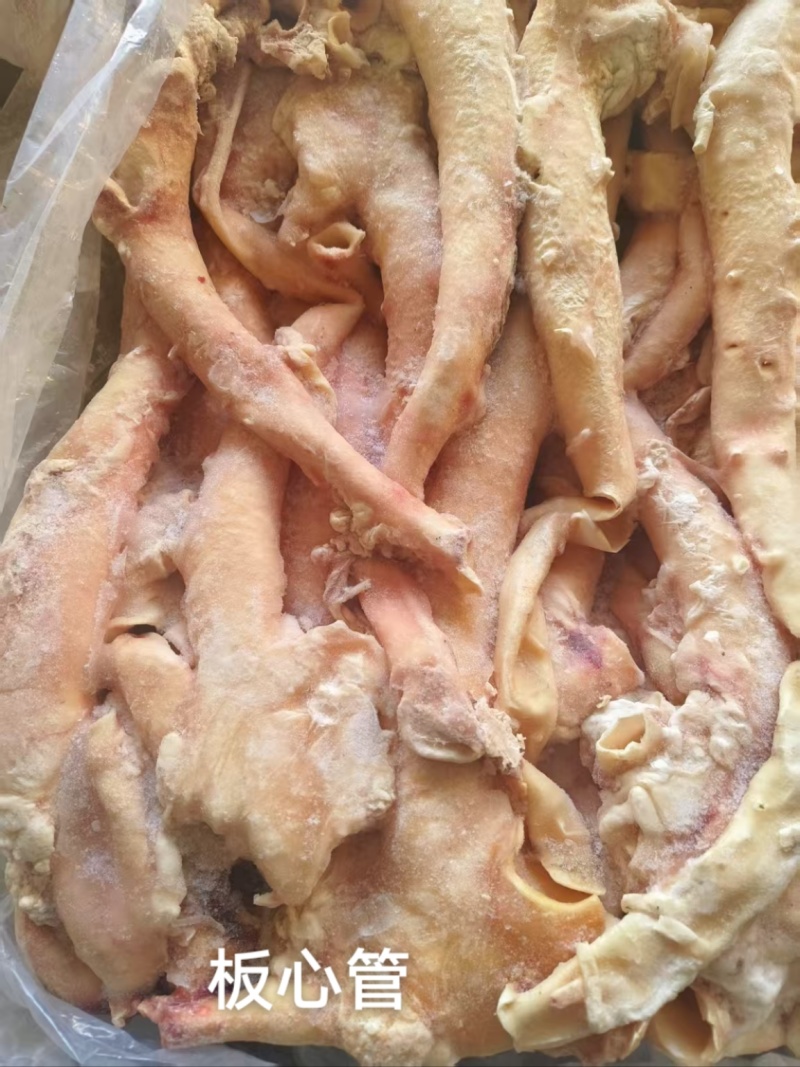 心管