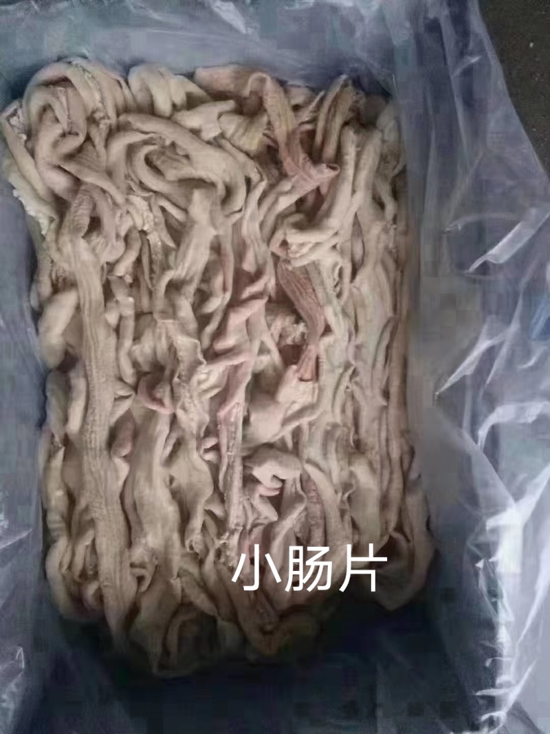 小肠片