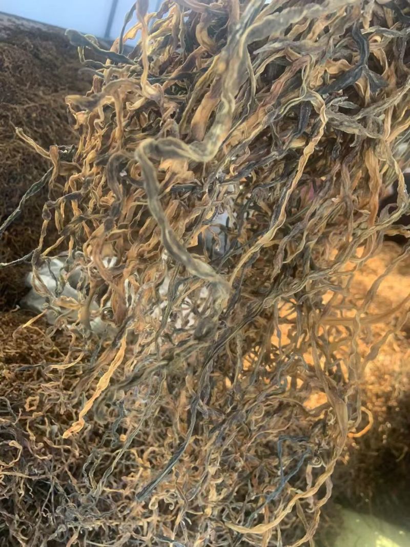 干豆角，电商货，工厂货，