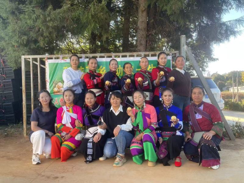 人参果\云南昆明石林县人参果种植基地大量上市\欢迎电联