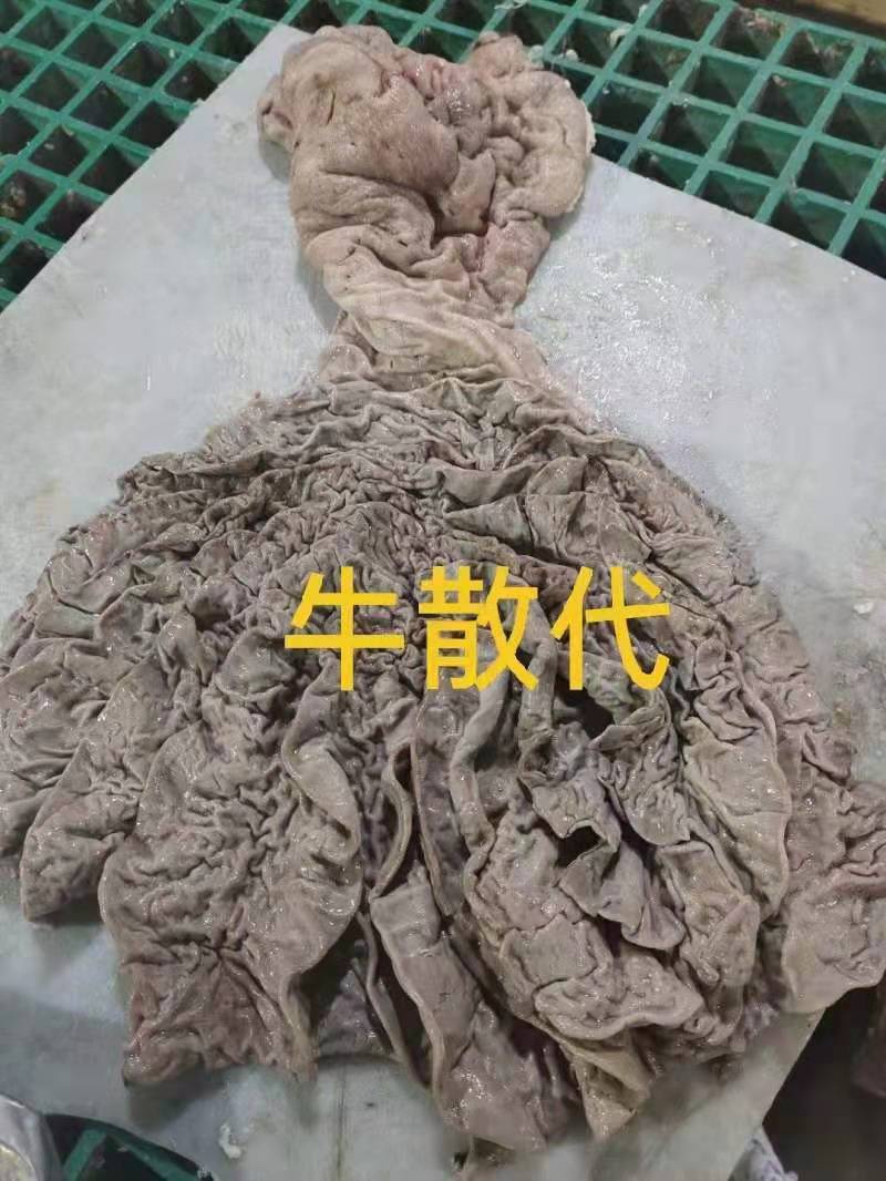 牛散袋