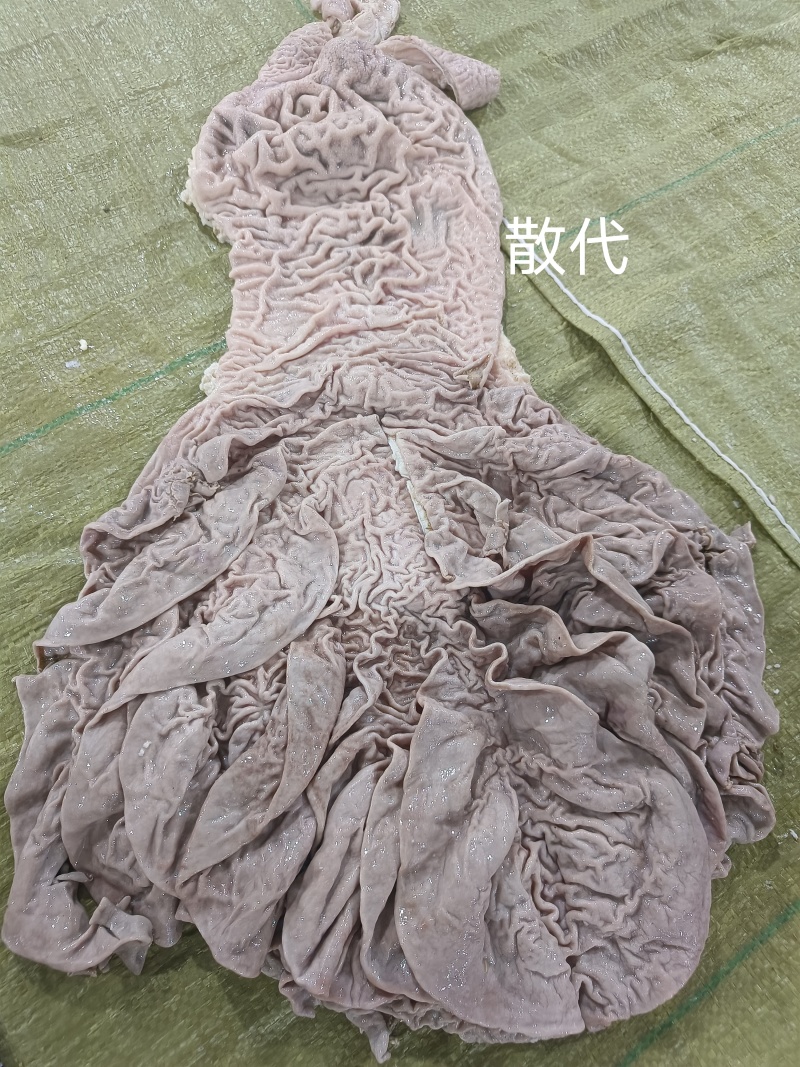牛散袋