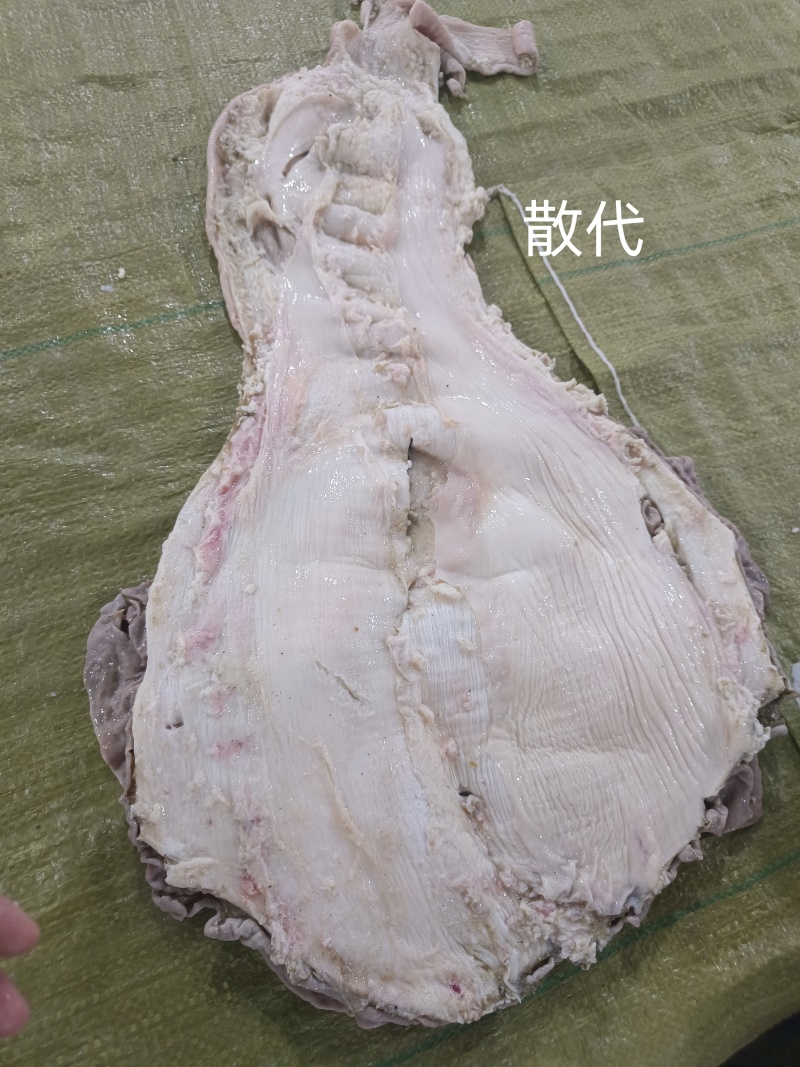 牛散袋
