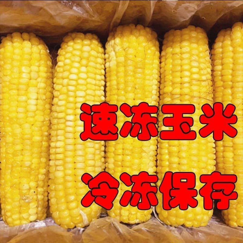 东北速冻黄糯玉米大棒口感好支持批发