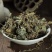 积雪草正品积雪草中药材积雪草干货真价实