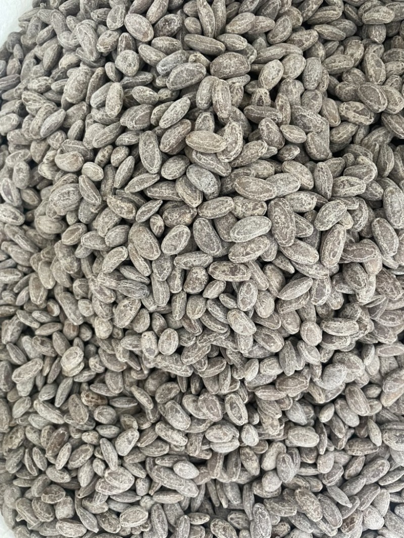 新货吊瓜子现炒现发
