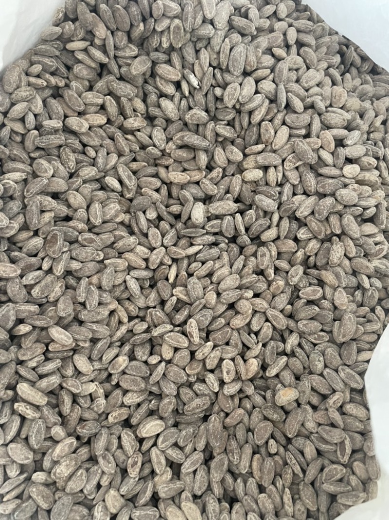 新货吊瓜子现炒现发