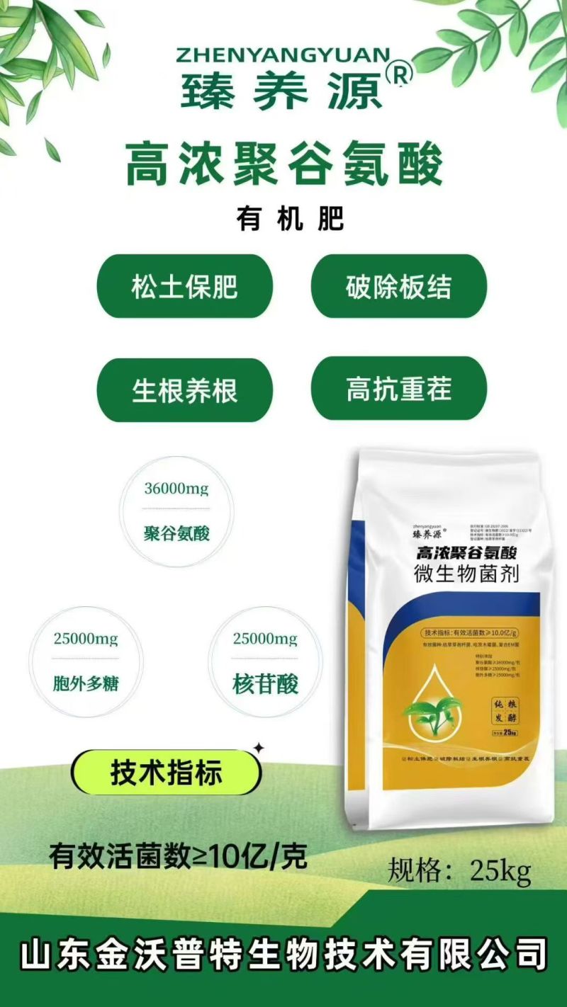 高浓聚谷氨酸型微生物菌剂优质原料特别添加胞外多糖