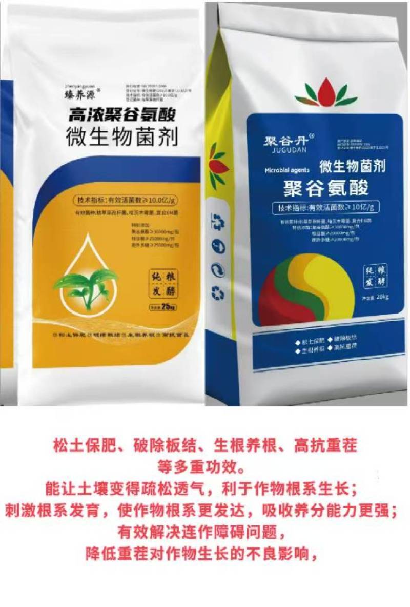 高浓聚谷氨酸型微生物菌剂优质原料特别添加胞外多糖