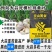 新疆**质矿源腐植酸钾调土生根抗病抗逆提高品质减肥增效