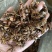 八角大量现货，价格美丽，有需要的大佬联系。