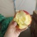 红露苹果一件代发全网**