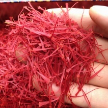 藏红花宽丝圆丝伊朗红花头茬无碎大丝干净无杂质耐泡颜色好很