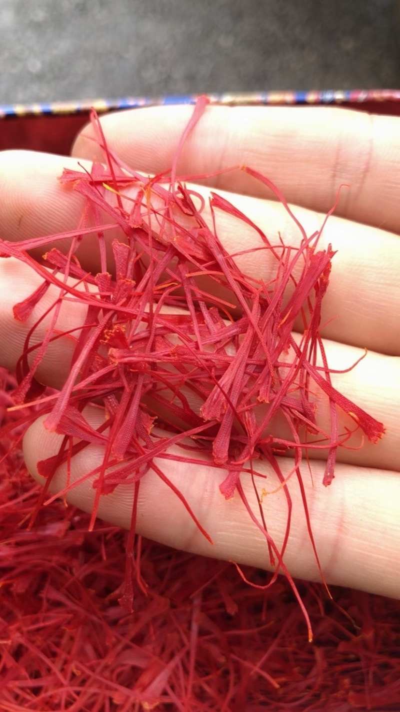 藏红花宽丝圆丝伊朗红花头茬无碎大丝干净无杂质耐泡颜色好很