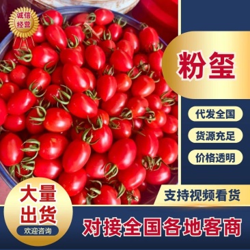 精品千禧果千禧贝贝圣女果粉玺小番茄山东圣女果