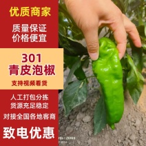 青皮泡椒，品类齐全，河南产地直销量大从优货源充足对接全国