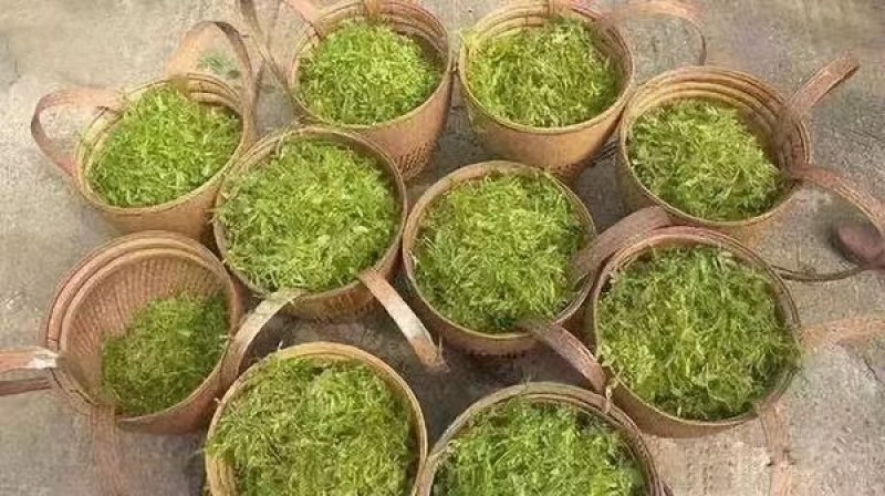 莓茶