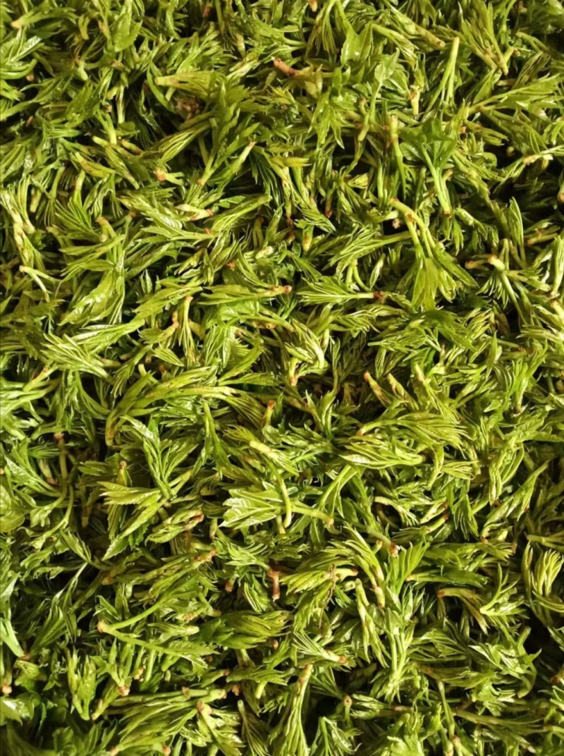 莓茶