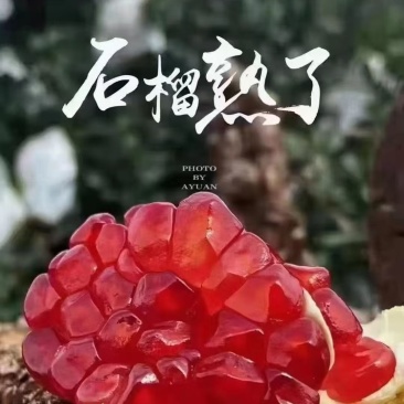 会理突尼斯软籽石榴