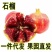 会理突尼斯软籽石榴