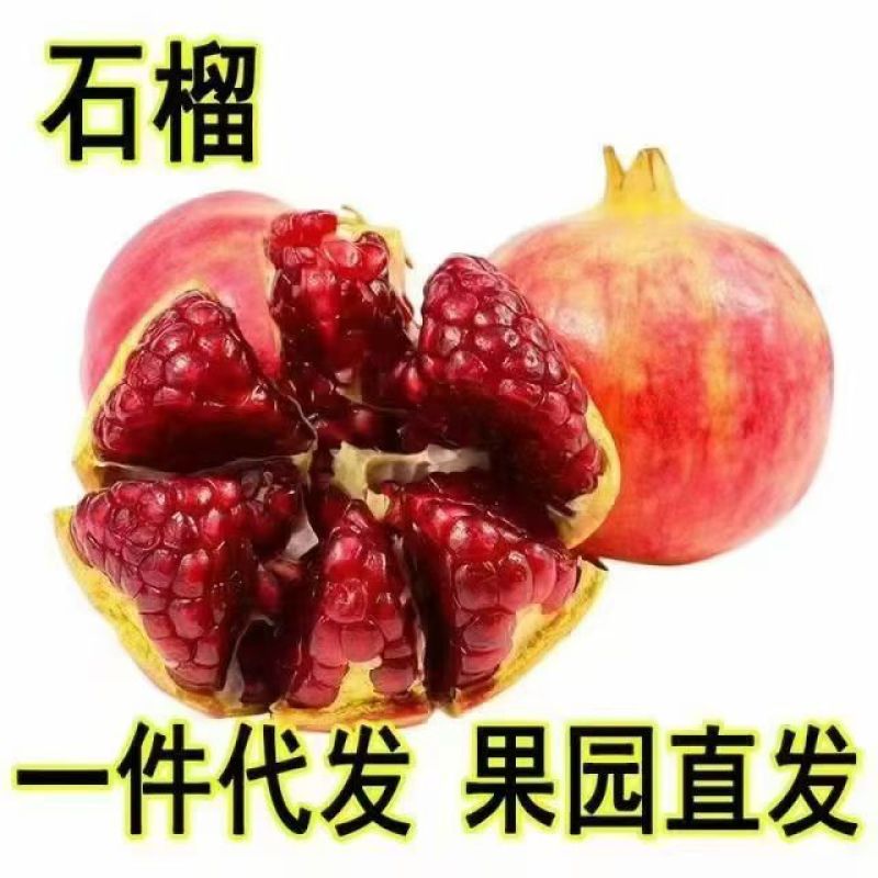 会理突尼斯软籽石榴