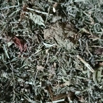 云南野生无硫切段过筛马鞭草马鞭梢初级农产品