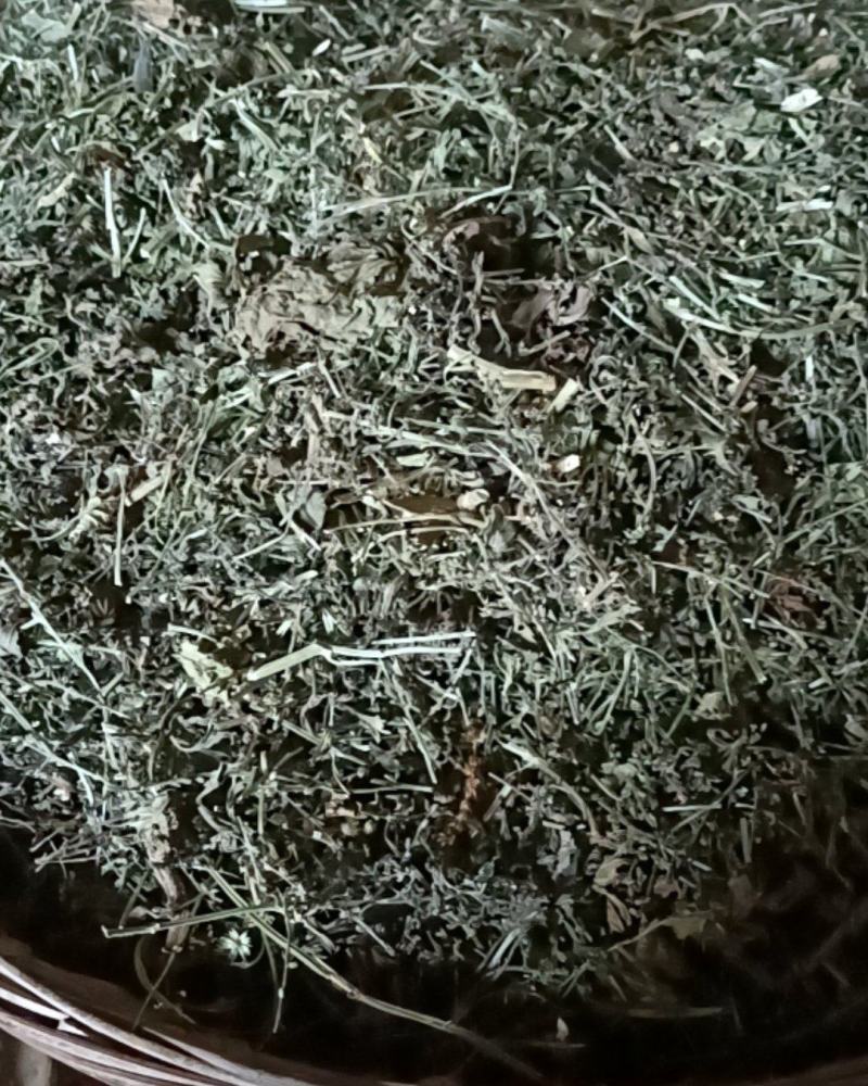 云南野生无硫切段过筛马鞭草马鞭梢初级农产品
