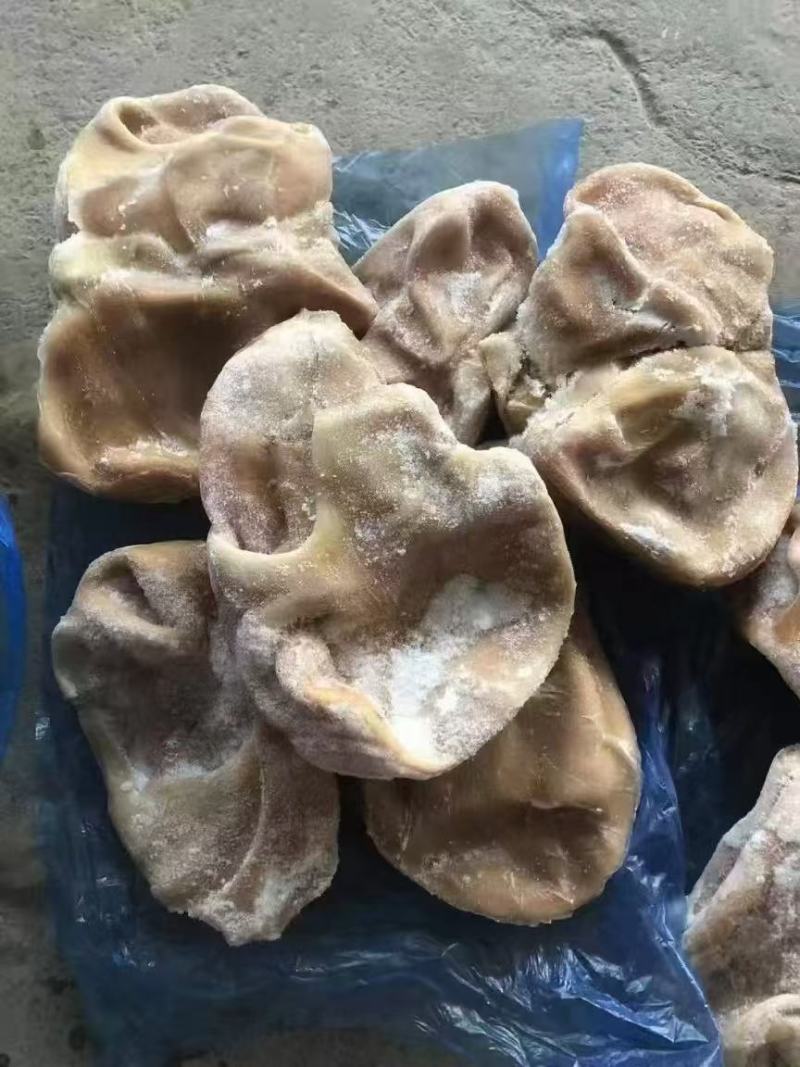 精品羊肚