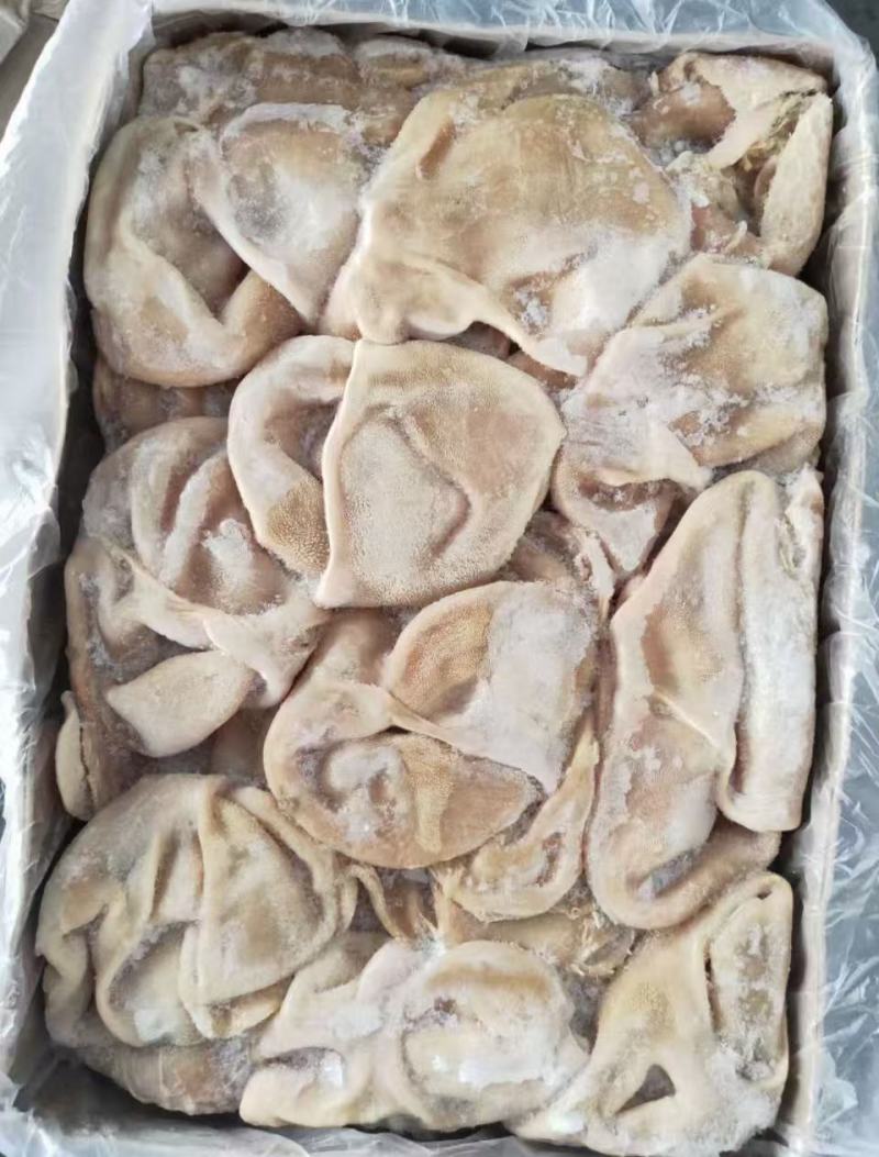 精品羊肚