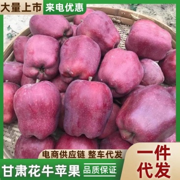 《花牛苹果》甘肃苹果/专业一件代发/电商货源供应批发