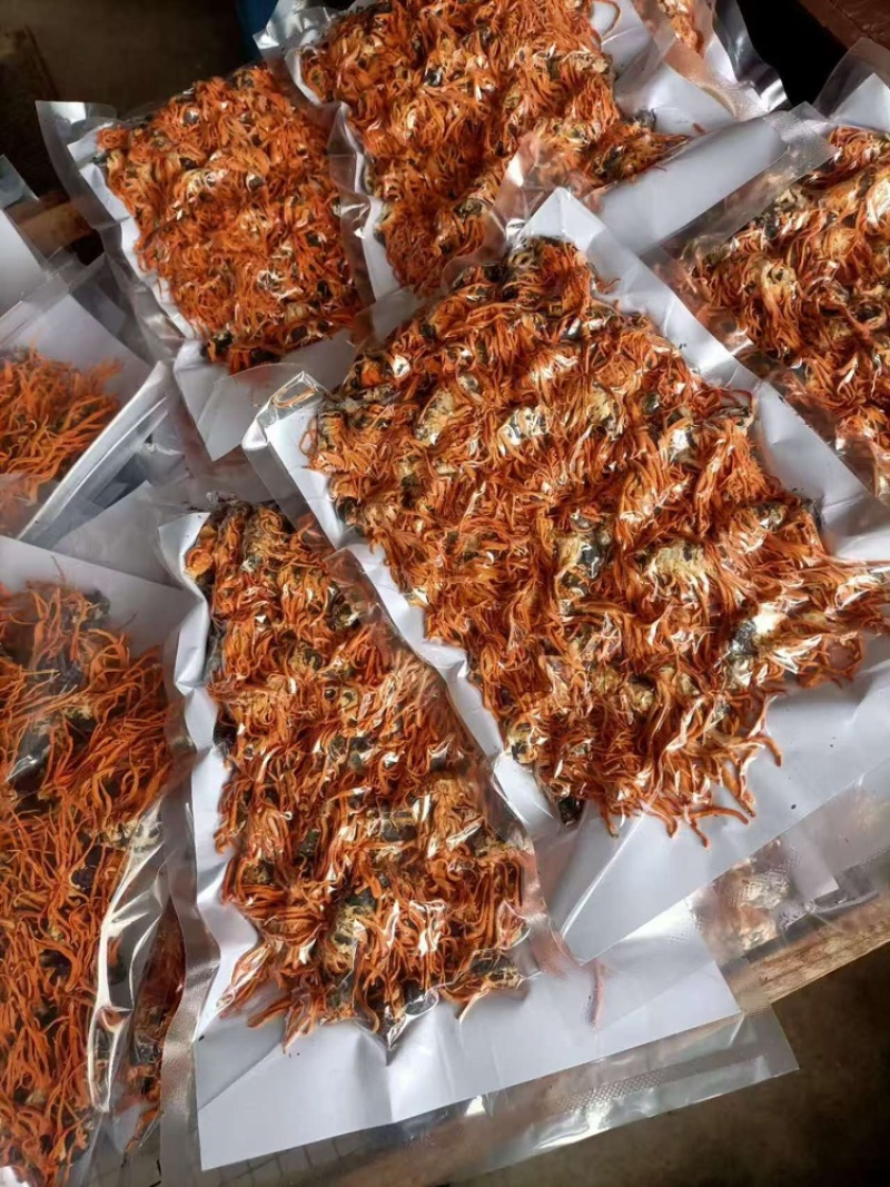 产地虫草干货无硫基地直供精品药材可视频看货