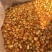 金桔干金橘片泡茶新鲜零食蜜饯果干花果茶清香养生茶无硫好货