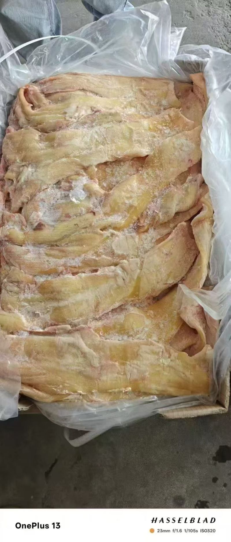 精品无油牛板筋
