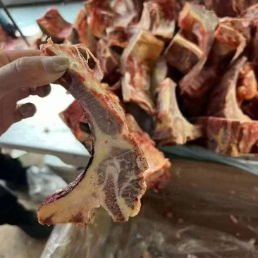满肉牛脊骨