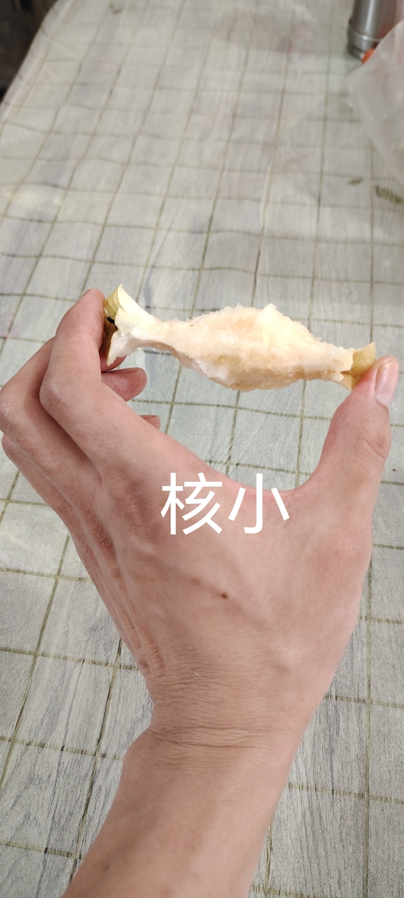 晚熟山农酥梨