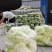 墨玉50基地只发品质保证价格实惠