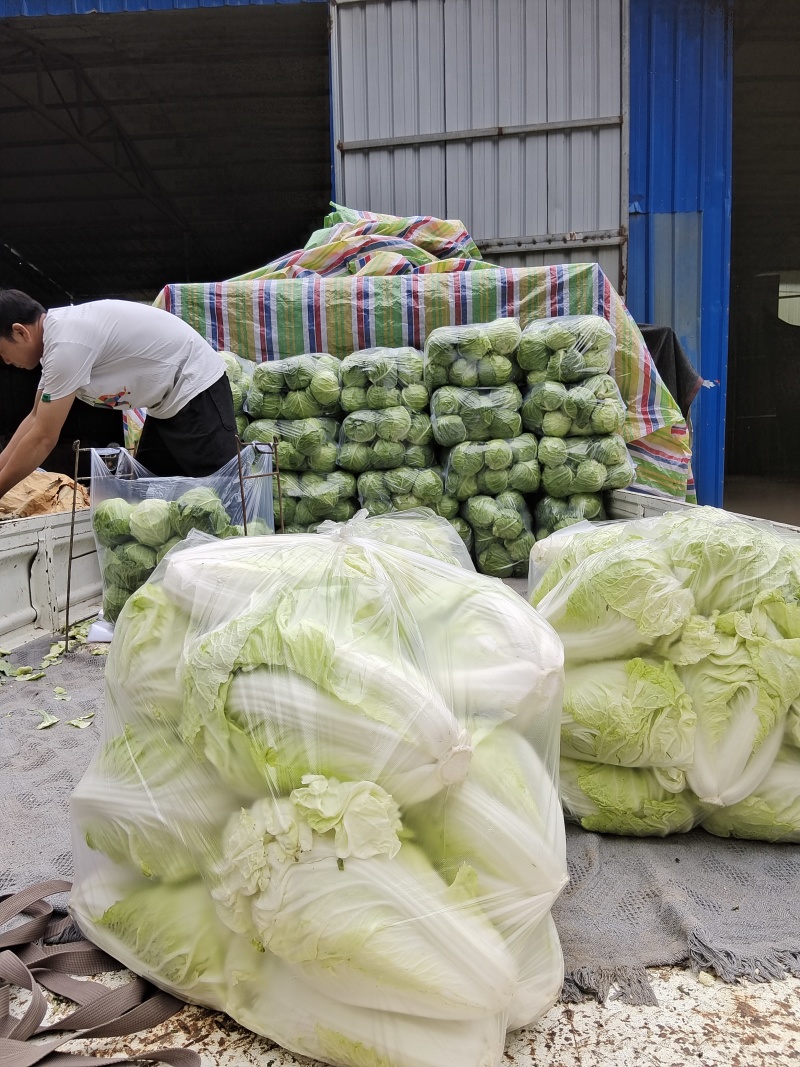 墨玉50基地只发品质保证价格实惠