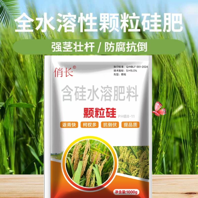 《颗粒硅》叶面肥，硅肥，水溶肥，生根剂，增产，增收效果好