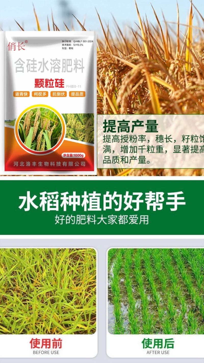 《颗粒硅》叶面肥，硅肥，水溶肥，生根剂，增产，增收效果好