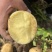 希森六号土豆希森6号产地直销量大质优价格优惠