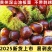 贵州板栗