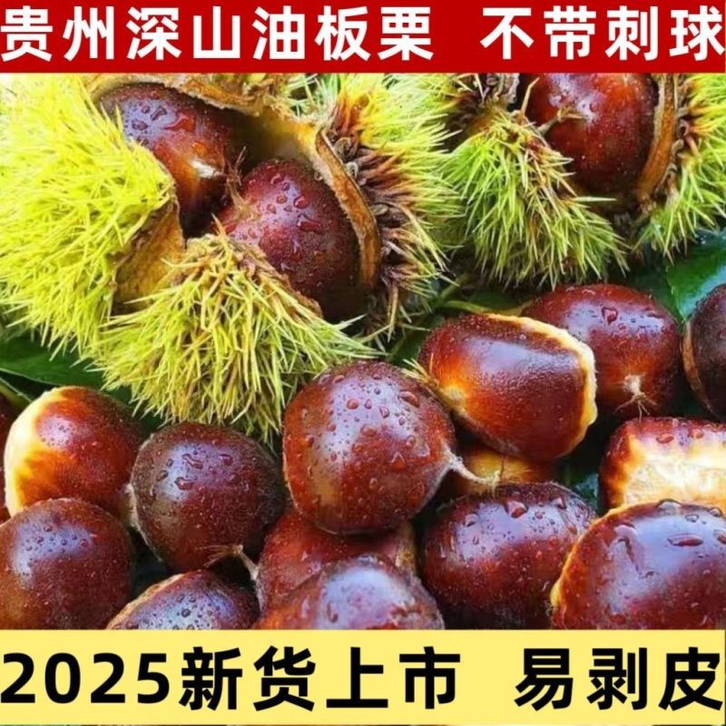 贵州板栗