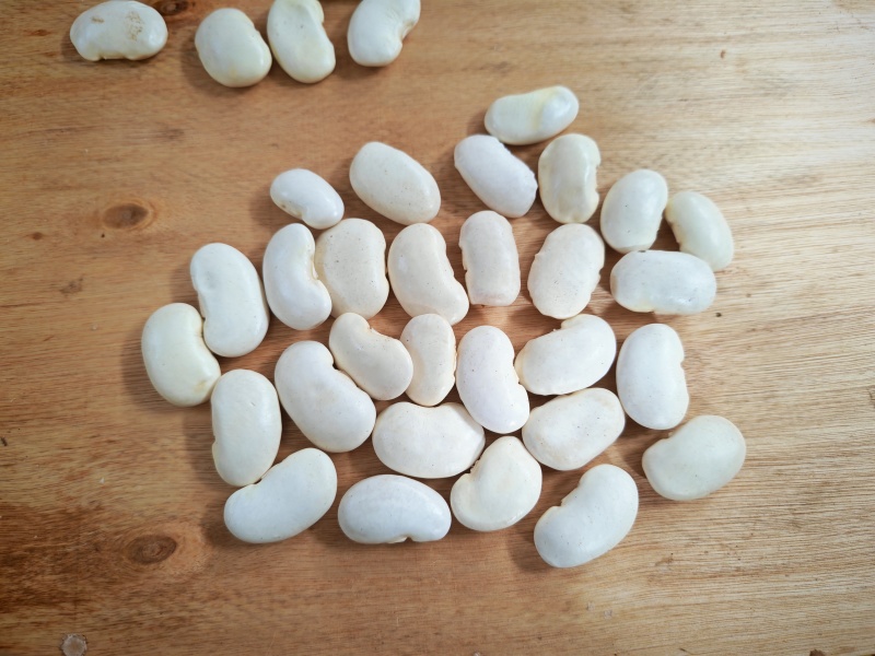 白芸豆（大粒白芸豆）