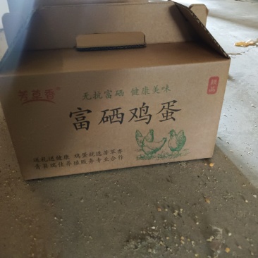 农家散养笨鸡蛋